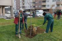 ЗЕЛЕНИЛОТО ГО ВРАЌА УДАРОТ