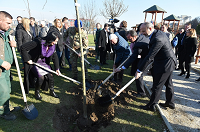 ЕСЕНСКАТА АКЦИЈА ЗА САДЕЊЕ  114  ДРВЈА  ВО ПАРК МАКЕДОНИЈА