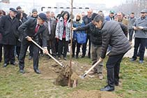 АКЦИЈА ЗА САДЕЊЕ  ДРВЈА НА ГРАД СКОПЈЕ