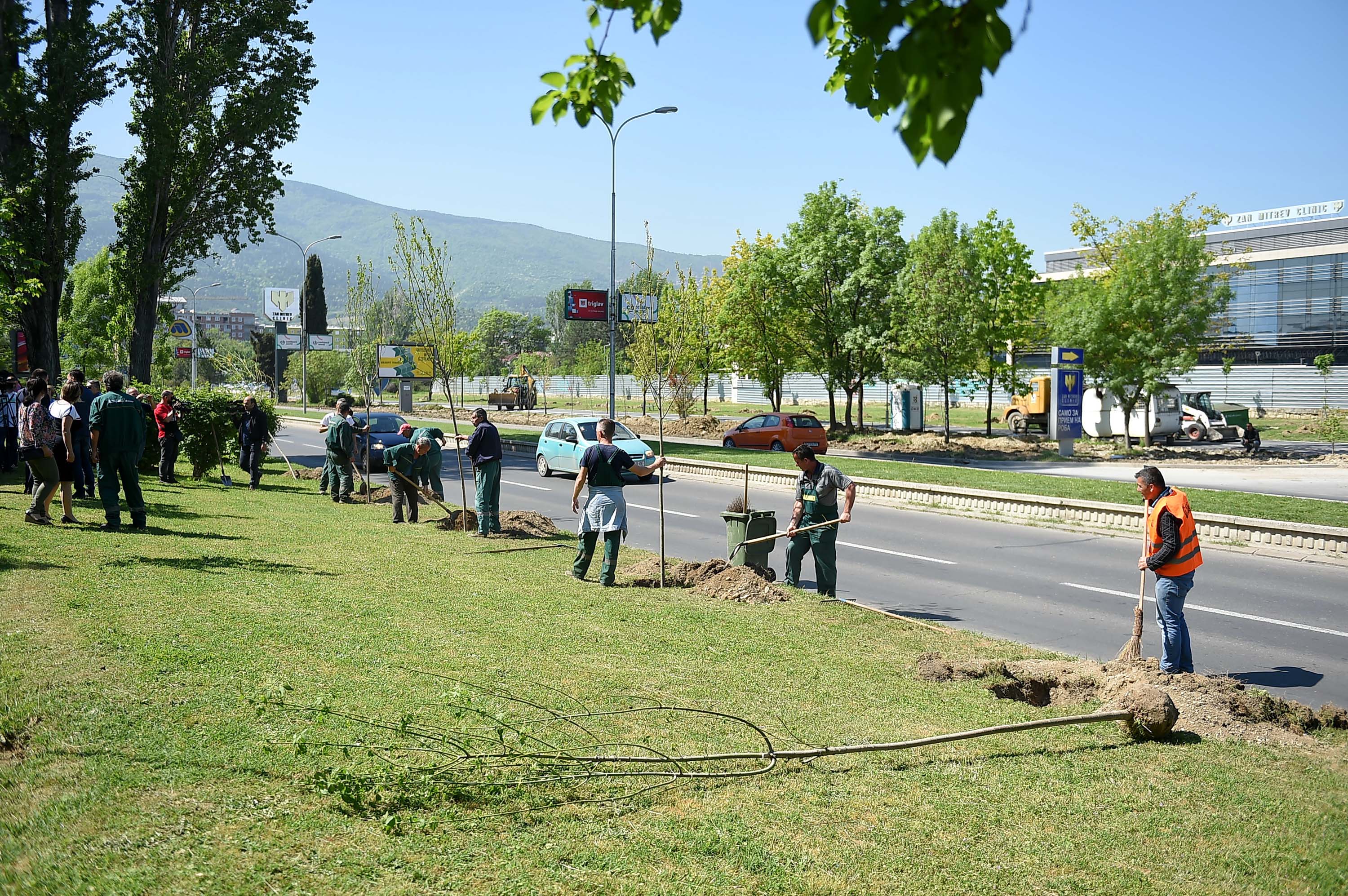 SHILEGOV: ME AKSIONIN PRANVEROR PËR GJELBËRIMIN E SHKUPIT KEMI MBJELLË GJITHSEJ 2.000 DRURË