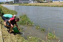 ПОРИБЕНИ ВОДИТЕ НА ВАРДАР