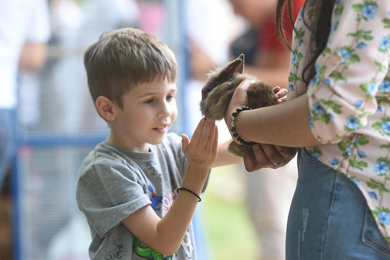 MINI KOPSHTI ZOOLOGJIK NË SHMQSH "VËLLEZËRIT MILADINOV" I HAPUR PËR VIZITORËT