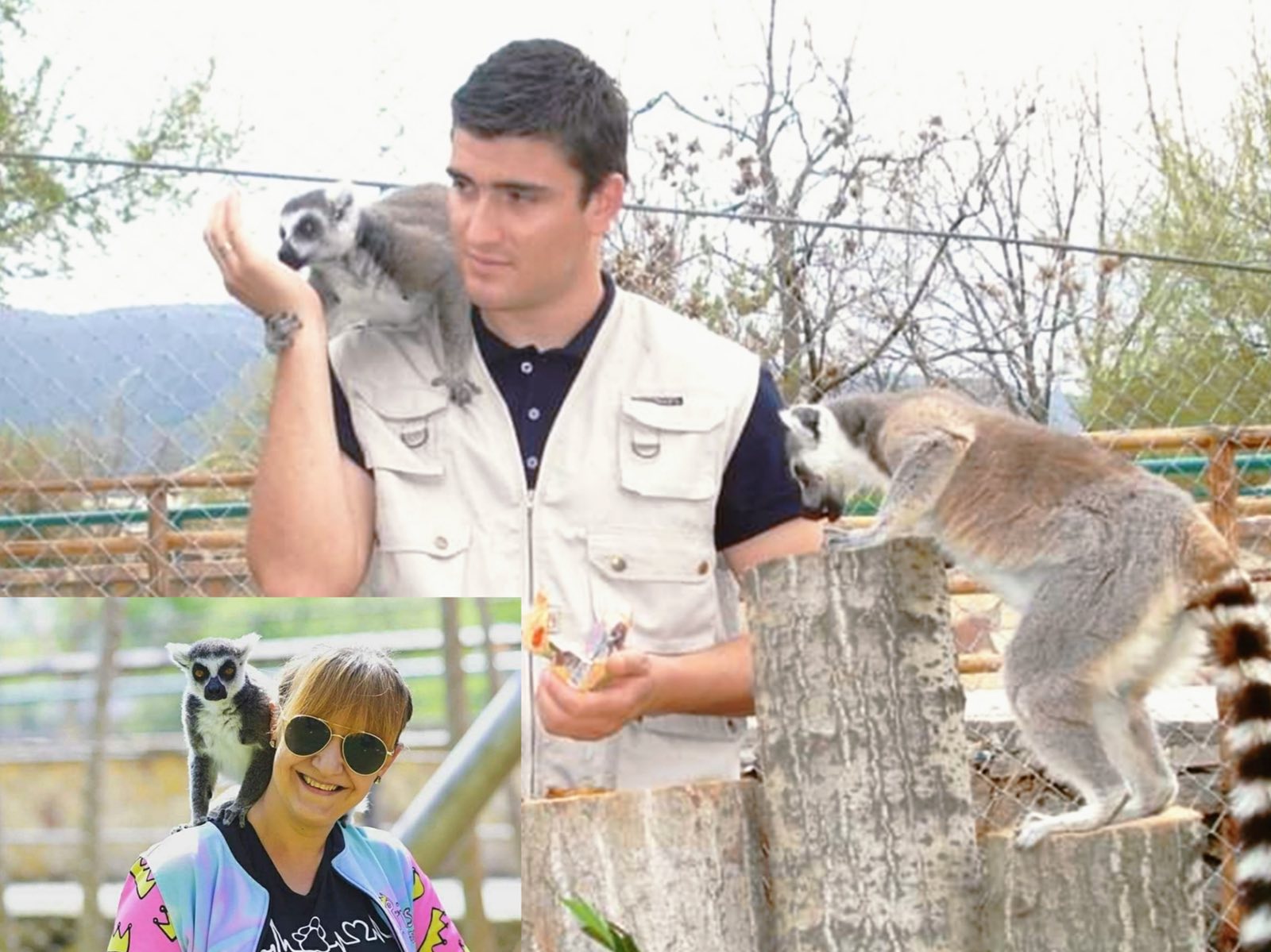 Kristijan Stamenov u.d. i ri drejtor i Kopshtit Zoologjik në Shkup, ndërsa Tina Mickovska zëvendëse e tij.